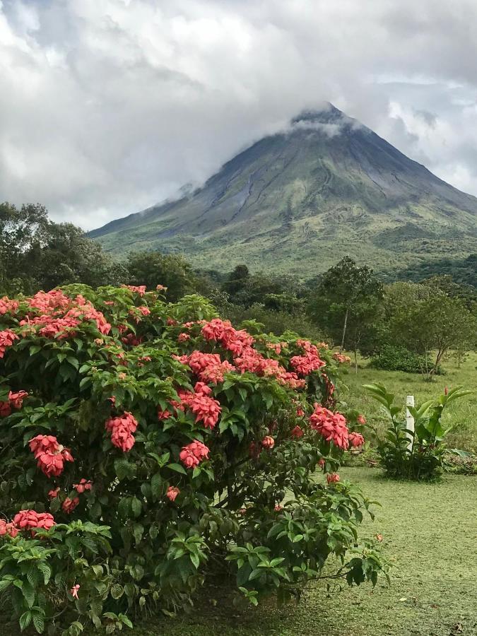Arenal Roca Suites La Fortuna Exterior foto